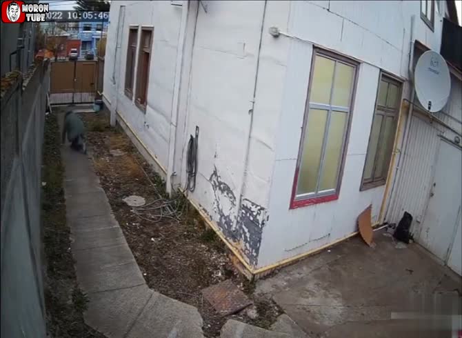 Video :To avoid paying, a prostitute's customer sneaks out the window!